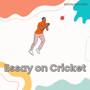 Read more about the article Essay on Cricket