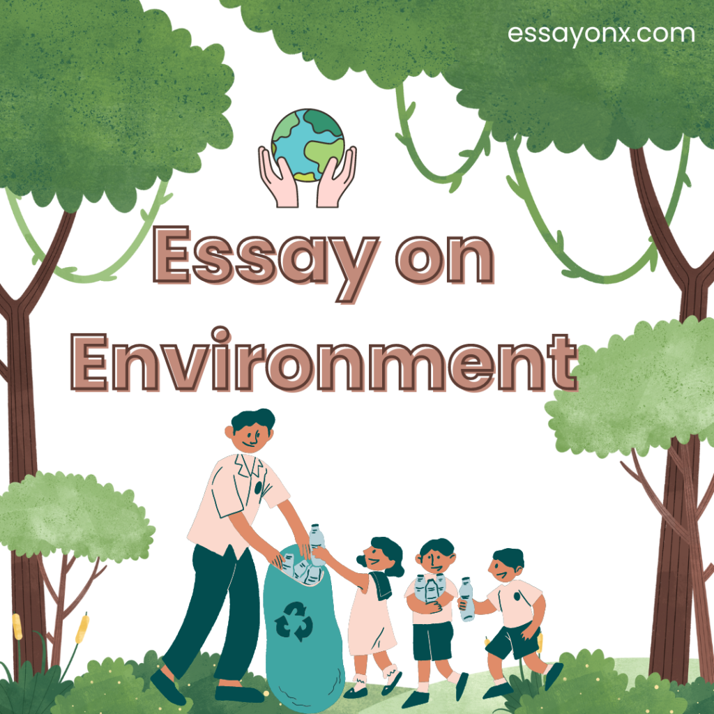 Saving the Environment for Future Generations essay