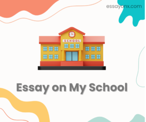 Read more about the article My School Essay